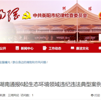 超時(shí)、超量、越界采砂!湖南通報(bào)6起生態(tài)環(huán)境領(lǐng)域違紀(jì)違法典型案例 2起與砂石有關(guān)!